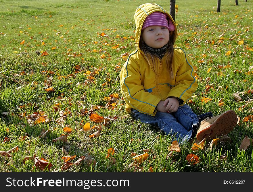 Young pretty girl sitting among yellow leaves. Young pretty girl sitting among yellow leaves