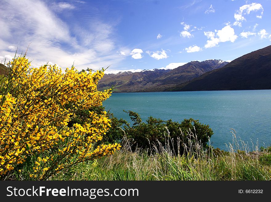 Lake wanaka new zealand