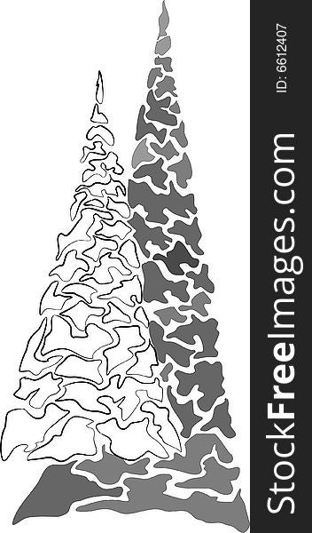 Two abstract silver fir-trees: big and small