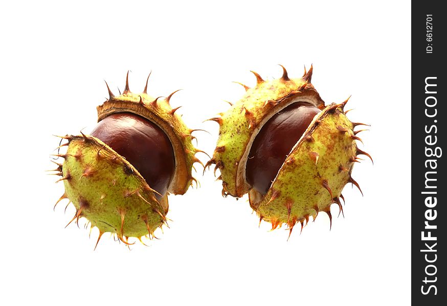 Two Chestnuts