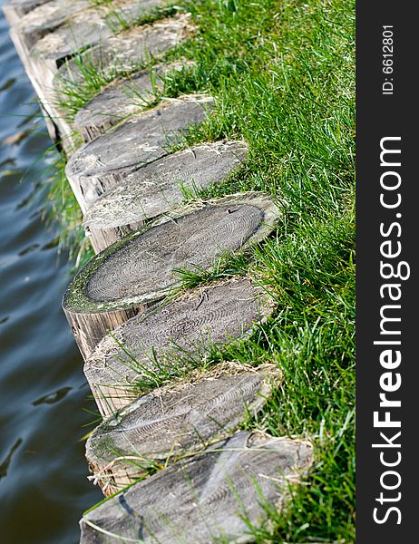 Some stumps with green grass. Some stumps with green grass.