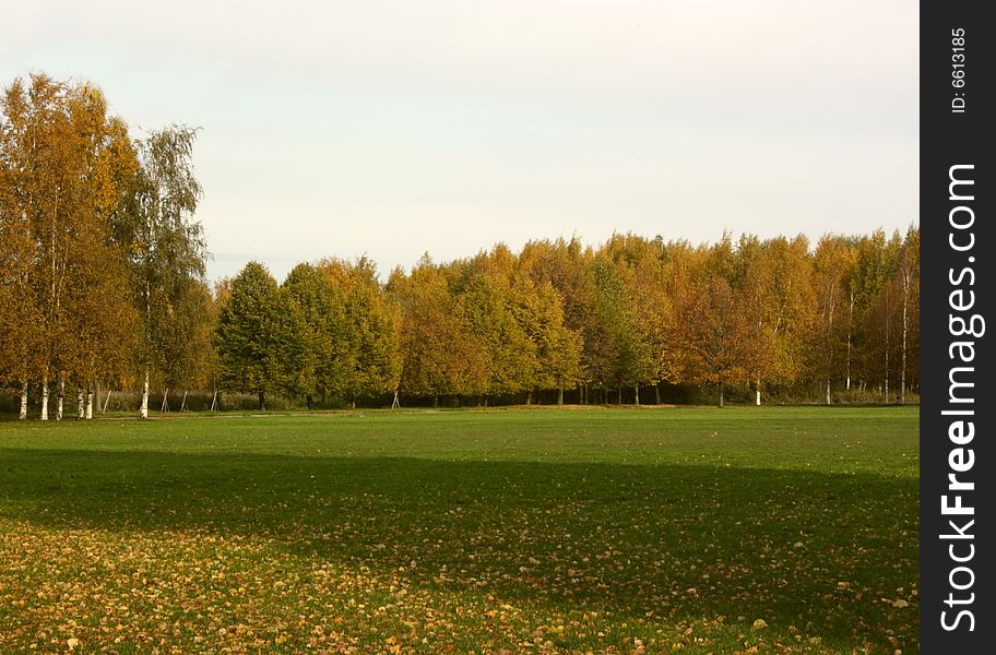 Autumn landscape in park. On a lawn the fallen down foliage. Autumn landscape in park. On a lawn the fallen down foliage