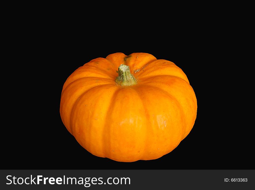 An image of a mini-pumpkin with a black backdrop. An image of a mini-pumpkin with a black backdrop.