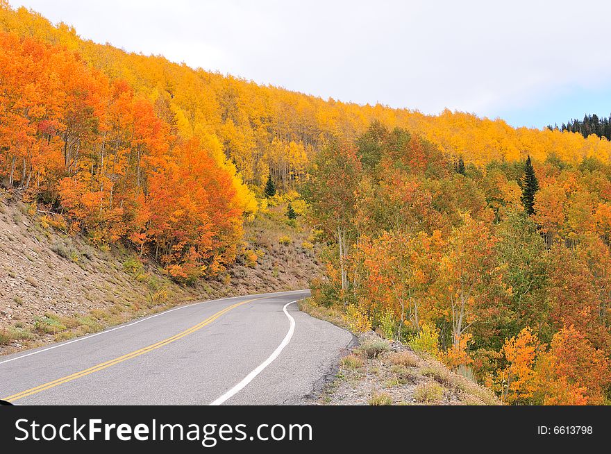 Highway leads to the Big Cottonwood Canyon, Utah