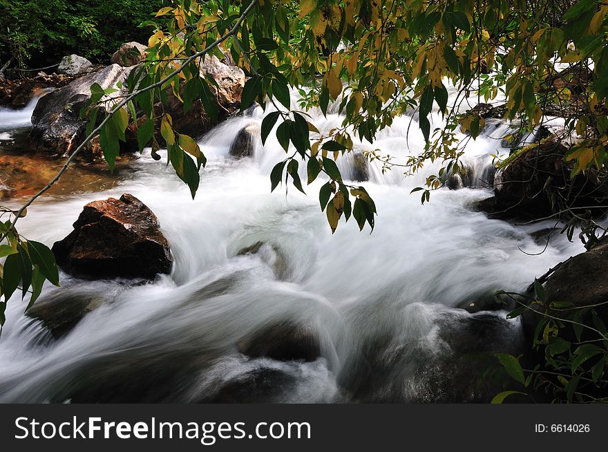 Little Creek at the Big Cottonwood Canyon. Little Creek at the Big Cottonwood Canyon