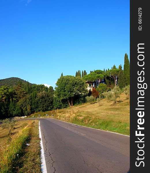 A beautiful chot of a countryside street in Tuscany