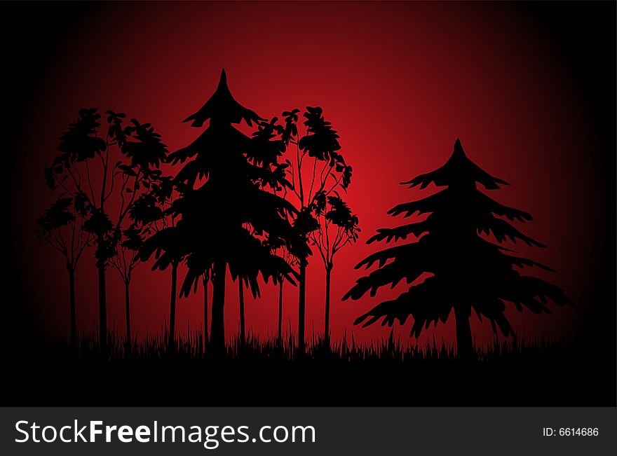 Evening forest over black and red sky