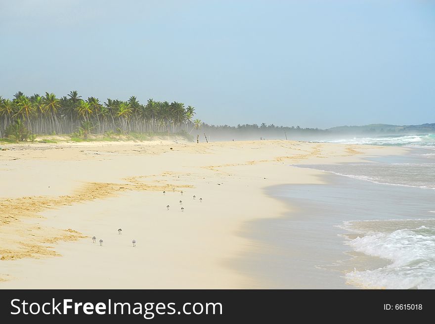 It's a photo of a tropical beach, in Caribbean, Macao Beach, Dominican Republic,. It's a photo of a tropical beach, in Caribbean, Macao Beach, Dominican Republic,
