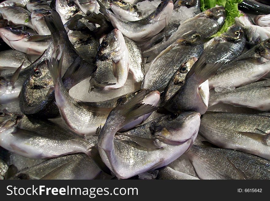 Fresh fish in the fishmarket. Fresh fish in the fishmarket.