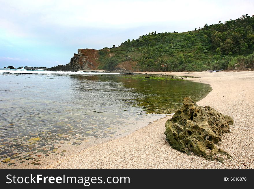 Tropical beach: coral on the sand.