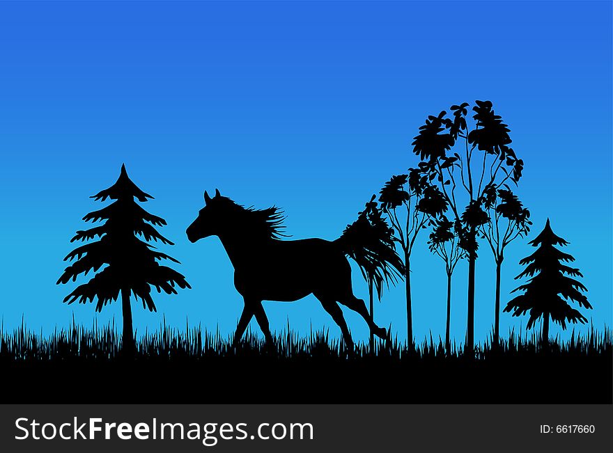Galloping near forest with pines horse. Galloping near forest with pines horse