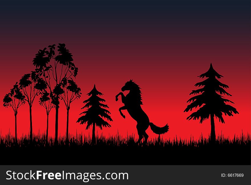 Wild horse prances near forest. Wild horse prances near forest
