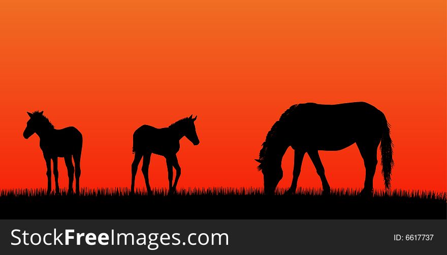 Mare with foals over sunset