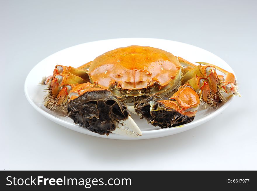 A cooked crab cooked in white plate. A cooked crab cooked in white plate