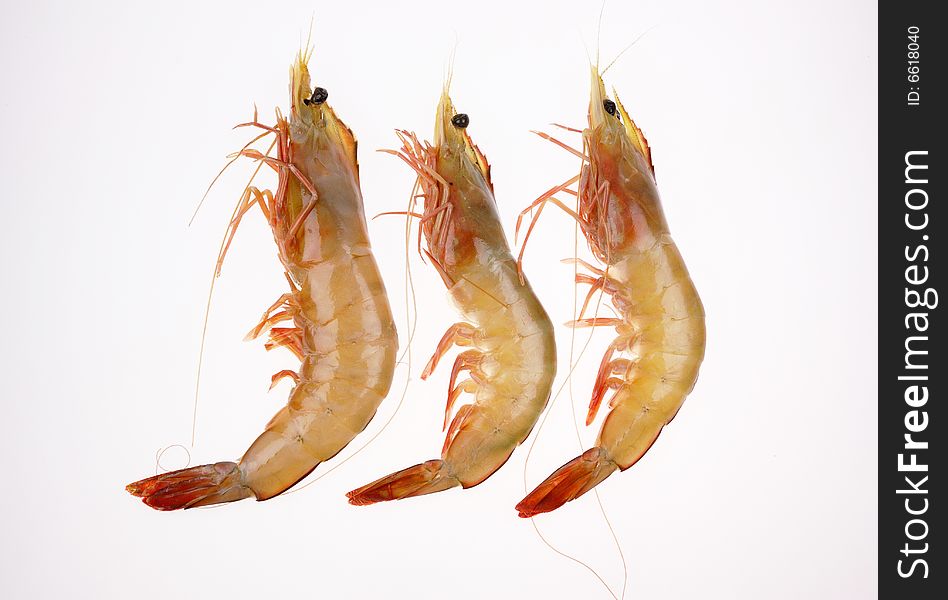 Closeup shooting of three shrimps on the white background.
