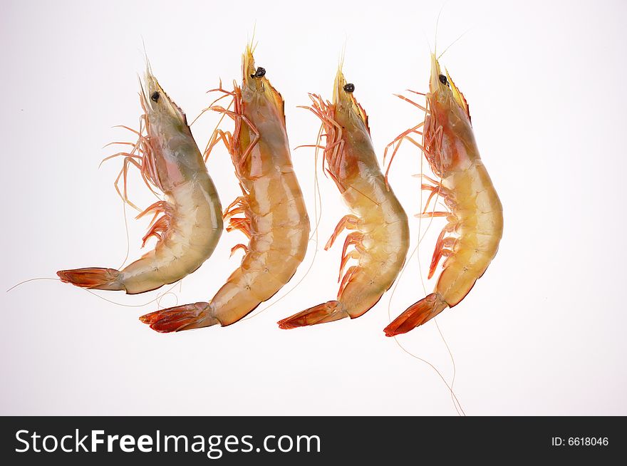 Aquatic product of four shrimps on the white background.