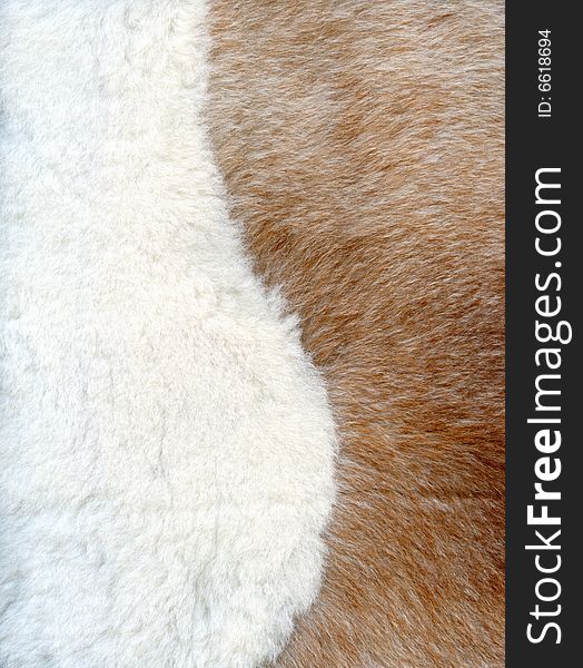 Brown and white fur texture