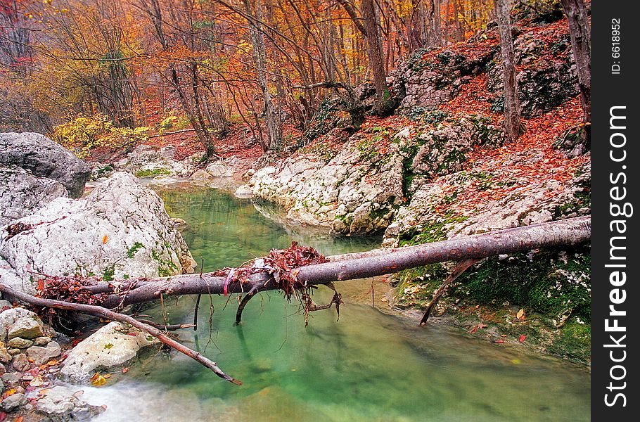 Logs through the river in the Grand Canyon of Crimea. Logs through the river in the Grand Canyon of Crimea