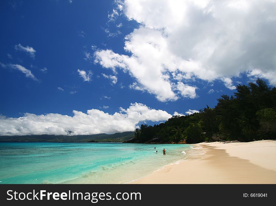 Tropical beach in the Indian Ocean