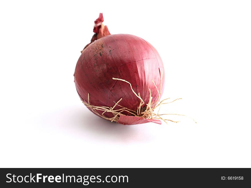 A single isolated red onion