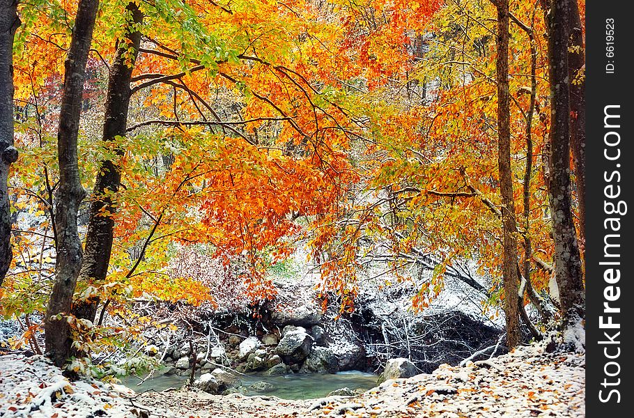 Snow in the Grand Canyon of Crimea which falls on stones and yellow leaves. Snow in the Grand Canyon of Crimea which falls on stones and yellow leaves