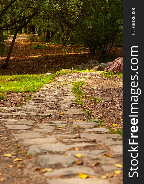 Stone Path In Autumn Park