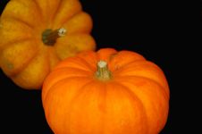 Two Mini-pumpkins Stock Photo