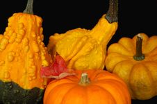 Free Thanksgiving 2 Royalty Free Stock Images - 6623989