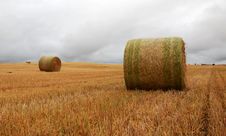 Wheat Pack Stock Images Wheat Pack Stock Images