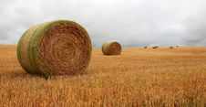 Wheat Pack Royalty Free Stock Photo Wheat Pack Royalty Free Stock Photo