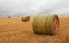 Wheat Pack Stock Image Wheat Pack Stock Image