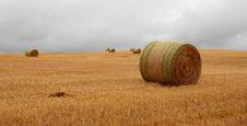 Wheat Pack Royalty Free Stock Photography Wheat Pack Royalty Free Stock Photography