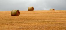 Wheat Pack Royalty Free Stock Photos Wheat Pack Royalty Free Stock Photos