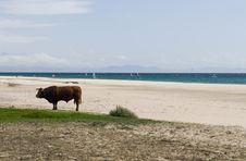 Abstract Beach View Royalty Free Stock Images Abstract Beach View Royalty Free Stock Images