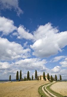 Tuscan Landscape, Farm And Cypress Royalty Free Stock Photo
