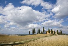 Tuscan Landscape, Farm And Cypress Royalty Free Stock Photography