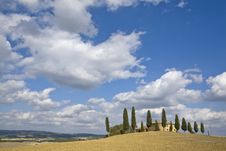Tuscan Landscape, Farm And Cypress Stock Photography