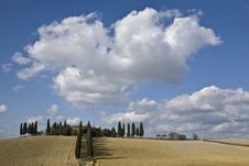 Tuscan Landscape, Farm And Cypress Royalty Free Stock Photos