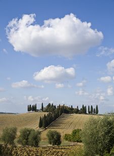 Tuscan Landscape, Farm And Cypress Royalty Free Stock Images