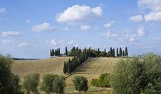 Tuscan Landscape, Farm And Cypress Royalty Free Stock Images