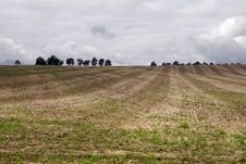 Agriculture Landscape Royalty Free Stock Photography Agriculture Landscape Royalty Free Stock Photography