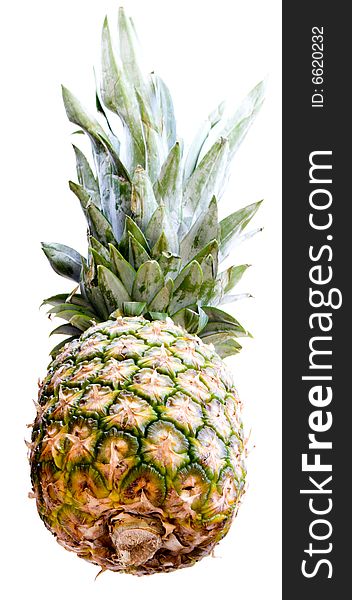 A pineapple isolated on a white background