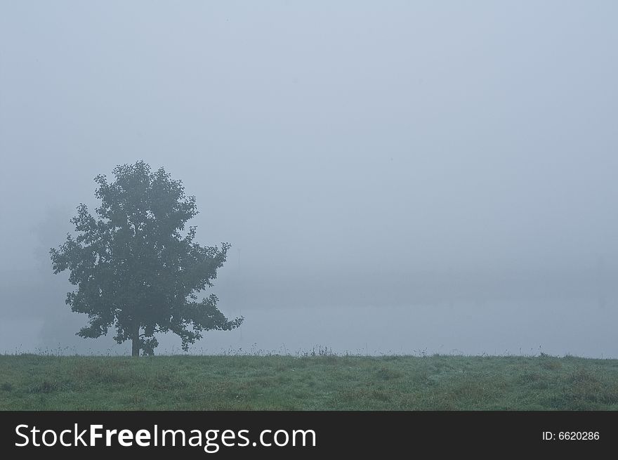 River Lek in the fog