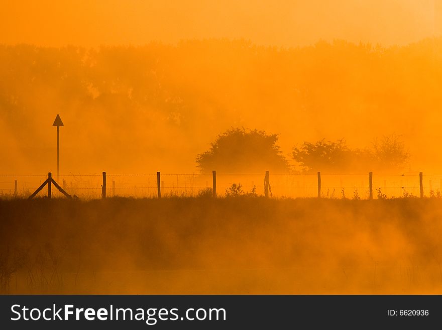 Foggy morning along the river