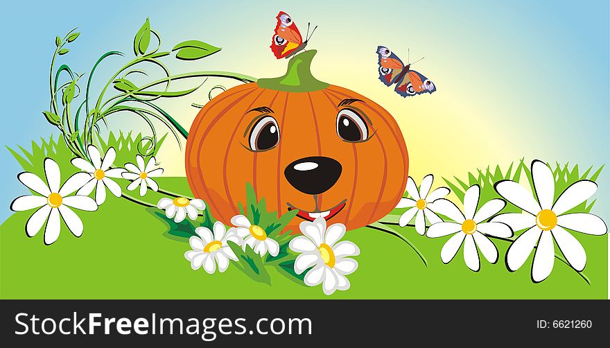 Pumpkin among chamomiles and butterflies. Vector illustration