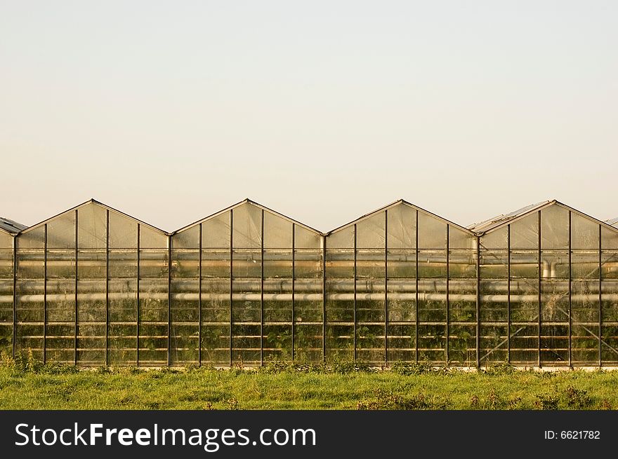 Frontside of a Dutch greenhouse under clear sky