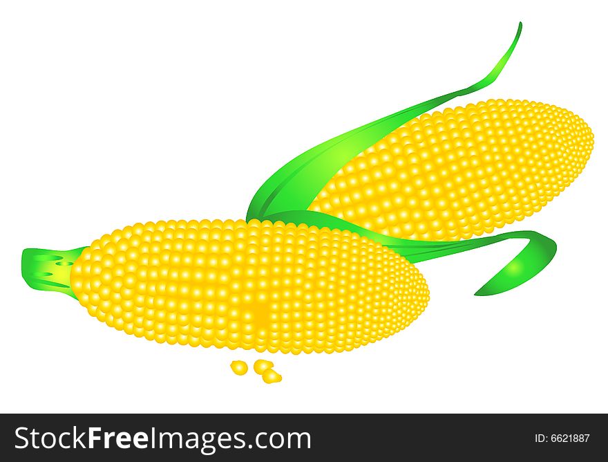 Corn