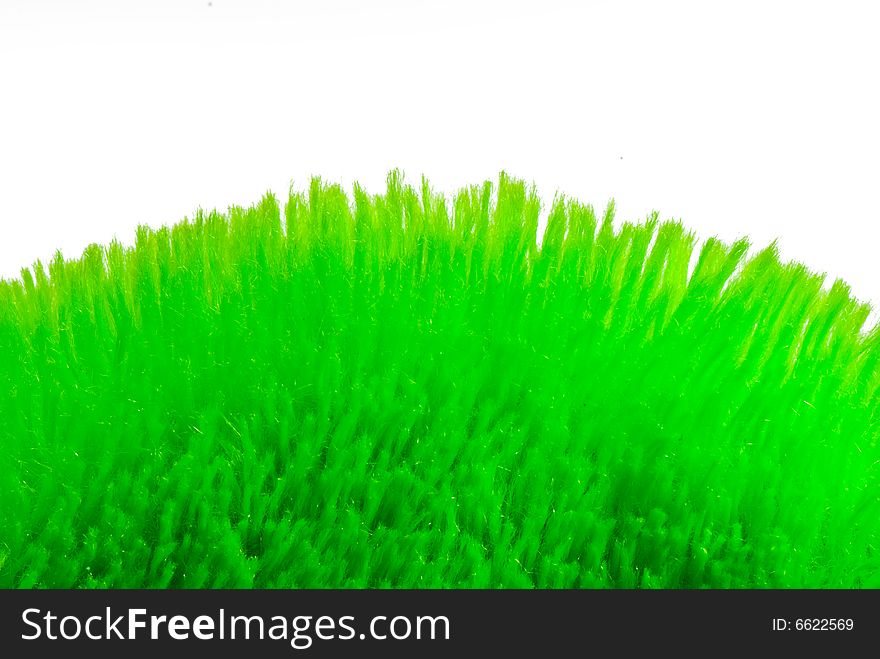 Soft Grass