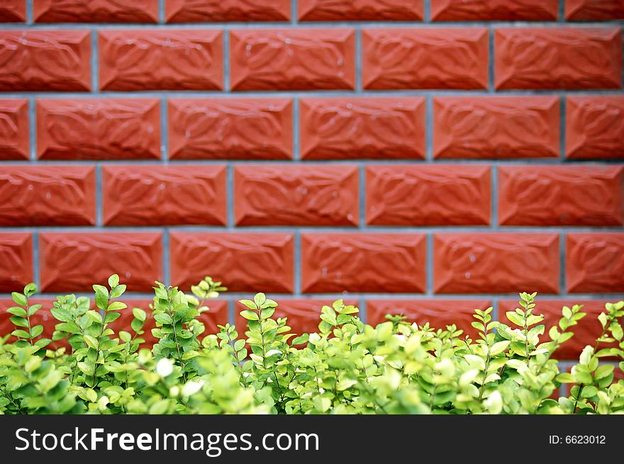 Green grass and red wall background. Green grass and red wall background