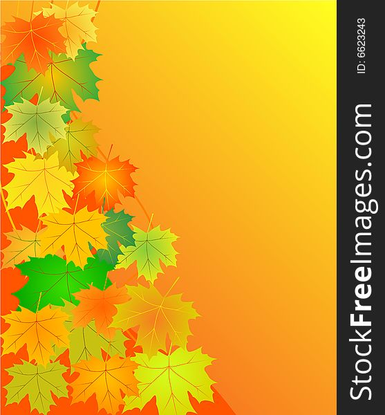 Autumn leaves background orange red yellow